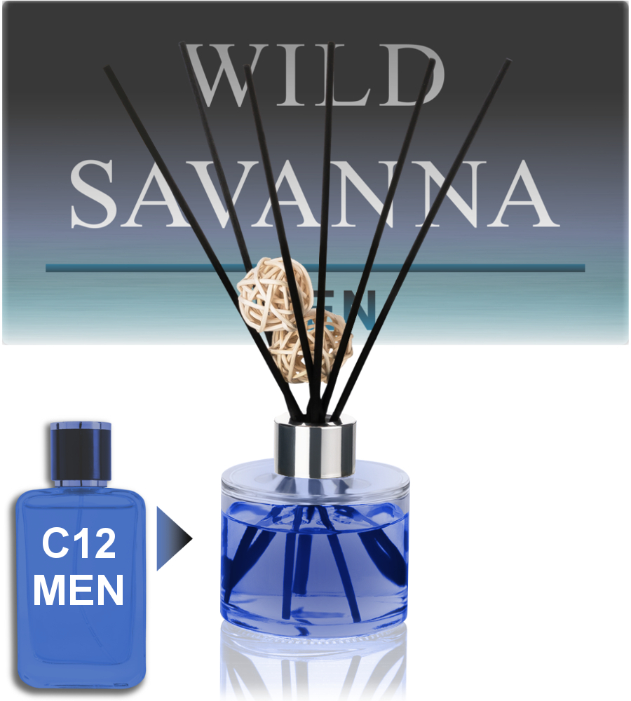 Raumduft C12 Men INSPIRIERT vom Herrenduft WILD SAVANNA